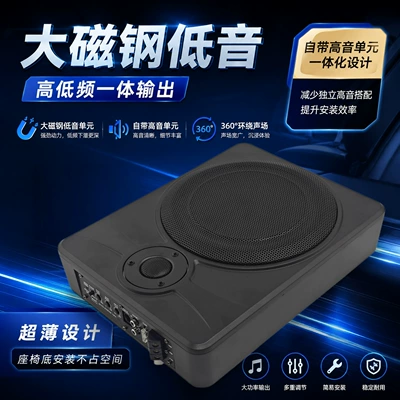 Car speaker/subwoofer under-seat active speaker with