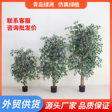 仿真白边榕树仿真小榕树盆景工厂直销真树杆人造树室内绿植盆栽