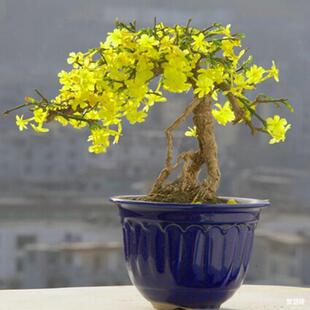 �ͺ��̓�����ӭ���������Ϙ�����ֲ���׻��͕񱱷����첻���Ļ�