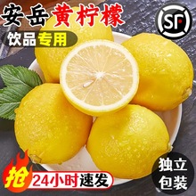 四川安岳黄柠檬新鲜水果专用皮薄一级独立包装饮品泡水大果柠檬汁