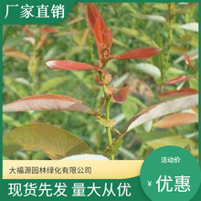 عNֲ N ֱN t~ҎRȫ ă