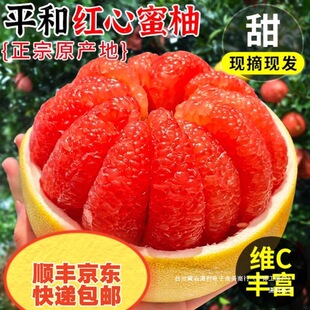 ����ƽ��&middot;�t�����֣���S���|���f���]�����t����&middot;Ƥ����֭����