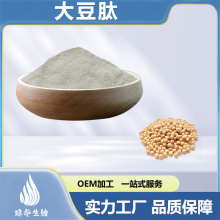大豆肽99%大豆低聚肽 琼华供应 大豆肽粉＜500Da 小分子 酶解工艺