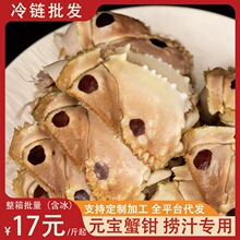 冷冻元宝蟹钳 捞汁原料蟹脚 大号冷冻元宝蟹餐饮商用整箱批发代发