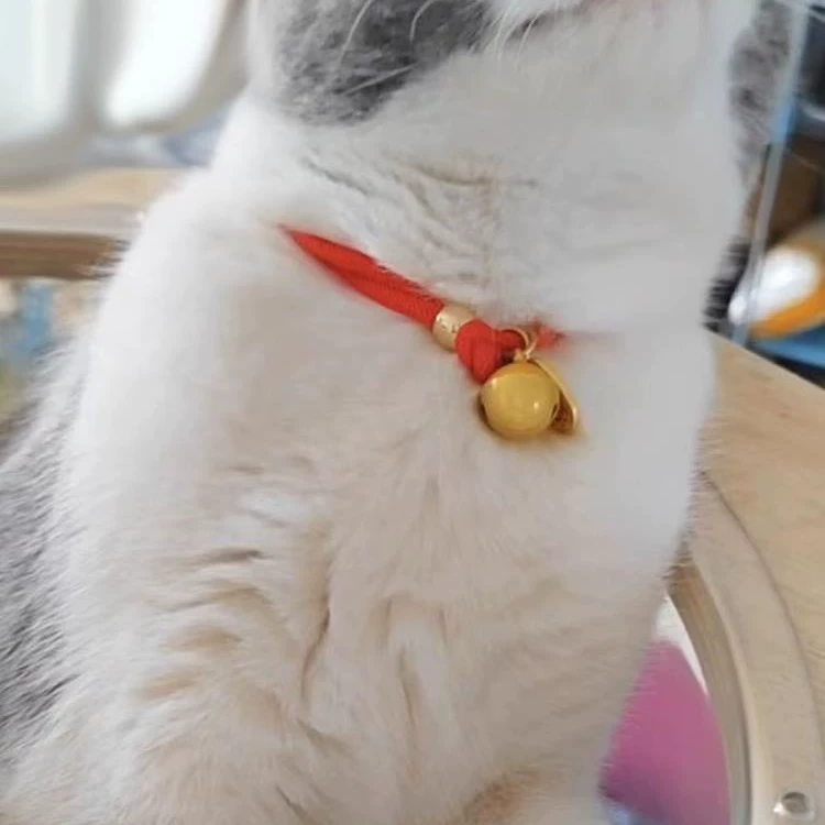 Ошейник для домашних животных Китайский стиль щенок колокольчик ошейник кошачий колокольчик милый кошачий ожерелье кошачий ошейник маленький собачий колокольчик