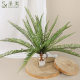 Artificial feel Fern Persian grass Fern grass ground decoration small green plant wholesale plant wall accessories