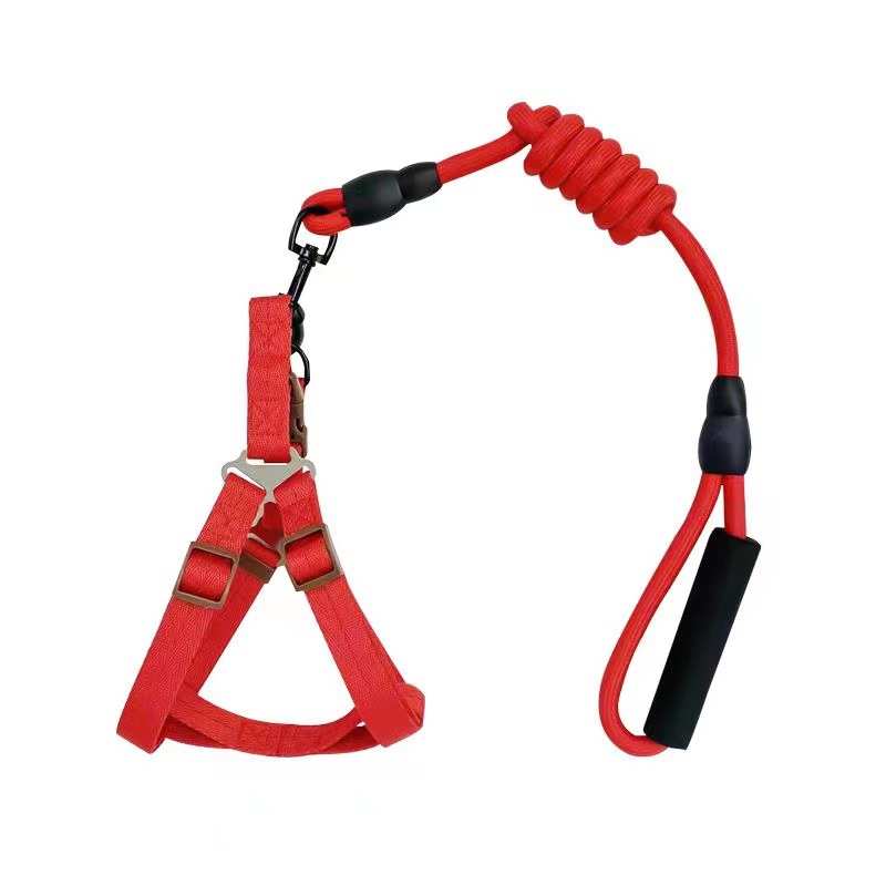 微信图片_20221103212827