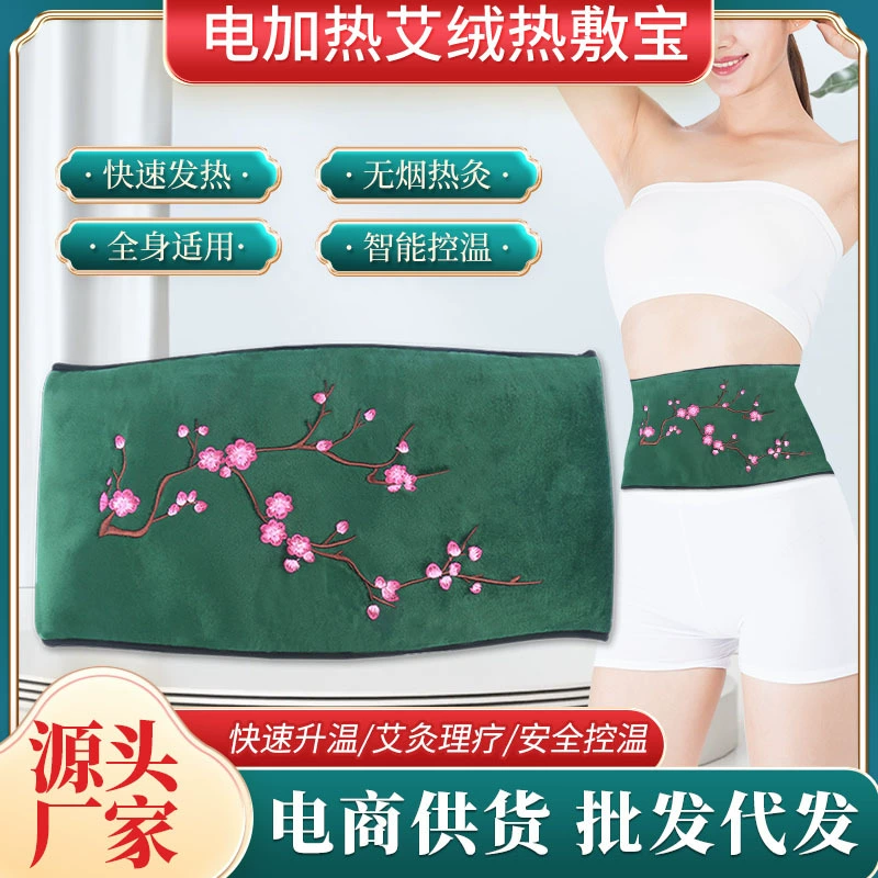 Электрическое Отопление мокса горячий компресс сокровище талии защиты сокровище контроль температуры портативный прижигание домашнего офиса электрическое отопление потепление живота сокровище физиотерапевтический мешок