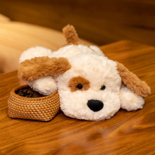 ������żſ�˰��c��ë�q���Ů������˯�X�������|С���������l