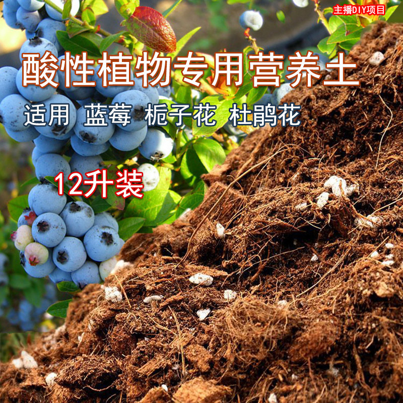 Zhonghe Agricultural Blueberry Special Soil Nutrient Soil Gardenia Hydrangea Lemon Tree Acid Soil