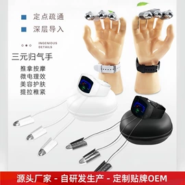 电子美容仪;其他美体瘦身;商用美容仪