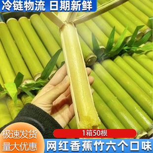 �㽶��[��С����Ͳ����ӾW�tС��