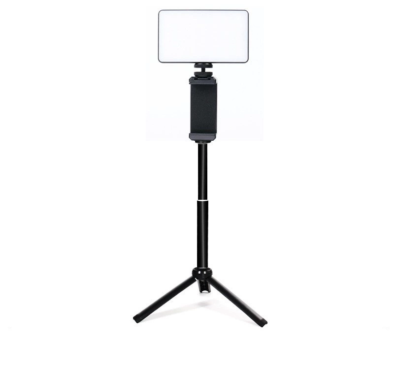 Travel LED camera charging, fill light