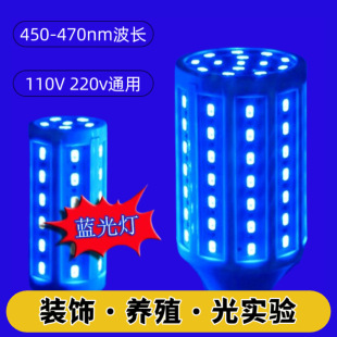 led蓝光灯450nm装饰彩灯冰蓝色灯泡玉米灯养殖植物生长光学实验灯-阿里巴巴