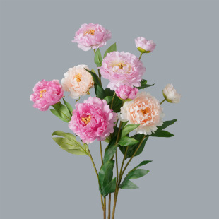 ���滨 ����ĵ�� �Ҿӿ͏d�̈�ܛ�b���ș��c�Ƶ겼���[���ٻ�