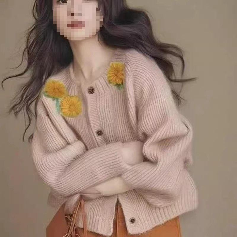 2025年新款秋冬刺绣提花针织衫开衫毛衣女宽松短款小个子外套上衣|undefined