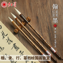 �t�����P��w�Е����w����Ǻ������L���W����������С̖ë�P