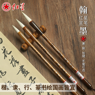 �t�����P��w�Е����w����Ǻ������L���W����������С̖ë�P