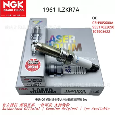 1961 ILZKR7A NGK platinum spark plug suitable for Audi Q7, Volkswagen Touareg, Porsche Cayenne (Alışdırma şamı (Sveçalar))