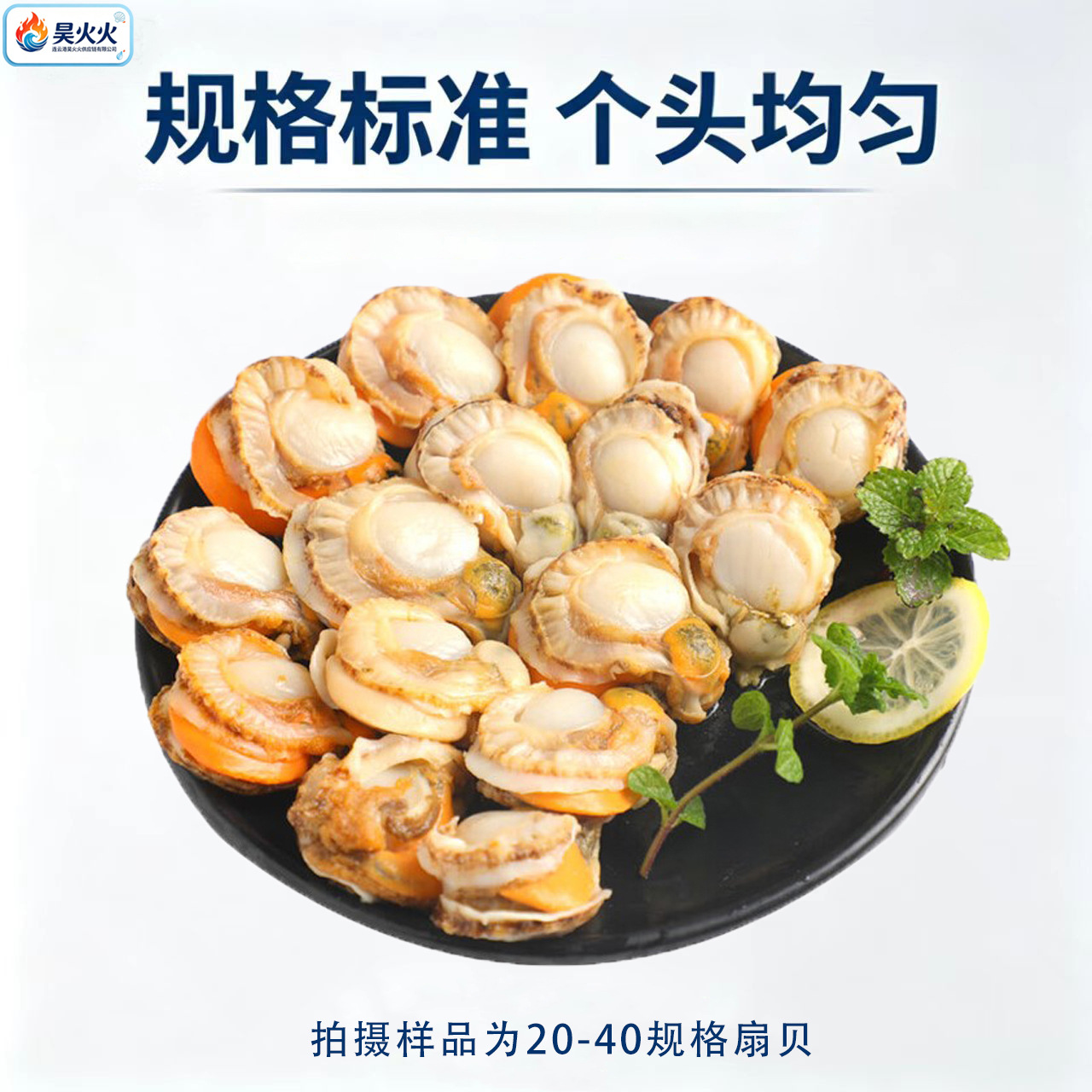 大号扇贝肉新鲜冷冻真空装带黄大扇贝新蚬子大号冷冻海鲜商用批发