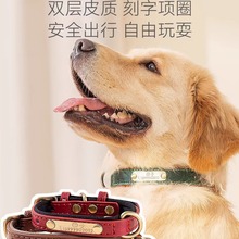 狗狗狗牌中大型犬柯基金毛刻字项圈防丢神器名牌宠物挂牌