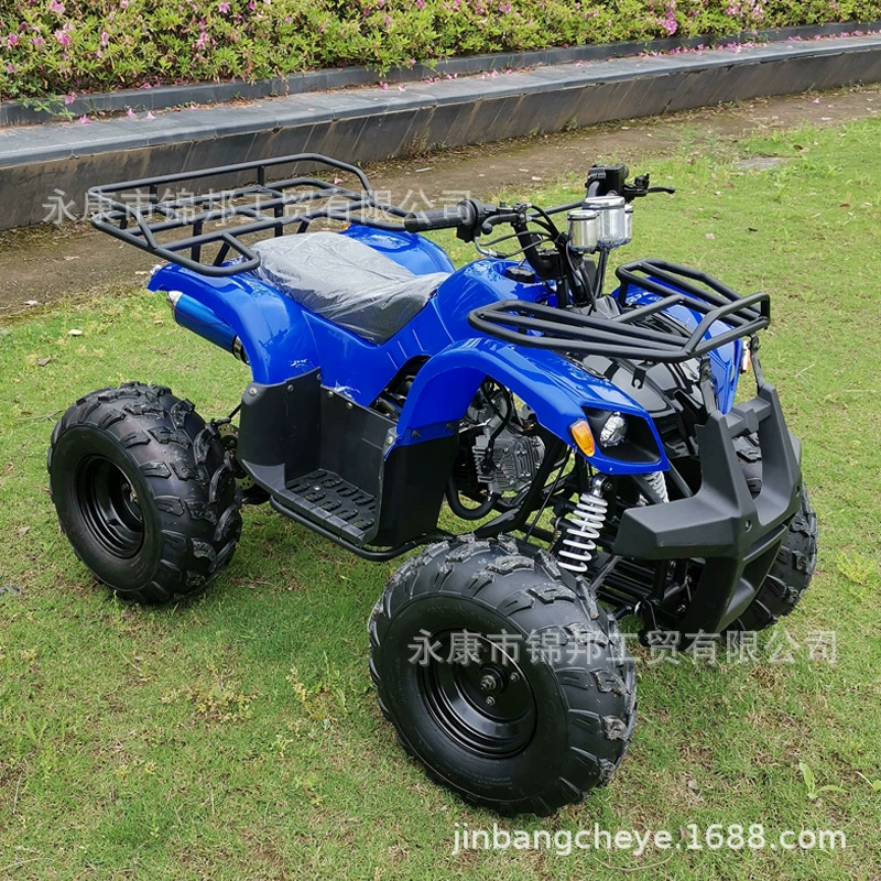 ATV пляжный автомобиль 125cc четырехколесный внедорожник внедорожник горный автомобиль автоматическая передача кросс-бордер источник