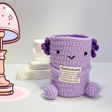 跨境热销手工钩织正能量蝾螈玩偶笔筒创意毛线情感动物摆件收纳盒