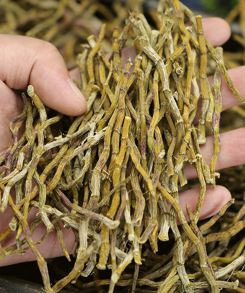 Dried Dendrobium Officinale Stems Tie Pi Shi Hu 500g Broken Pieces Sun Dried No Residue for Cooking and Tea overview