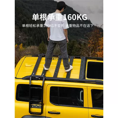 Roof rack: Ladder Expansion Platform Special
