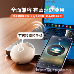 2025�{�����C�����b���h�̲ٿ�ˢҕ�l�����L�m��(�̓r�ҿͷ�)�o��