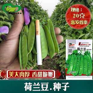 ���m���N�� �r��˵��r���Nֲ�v���������ɿں��m����