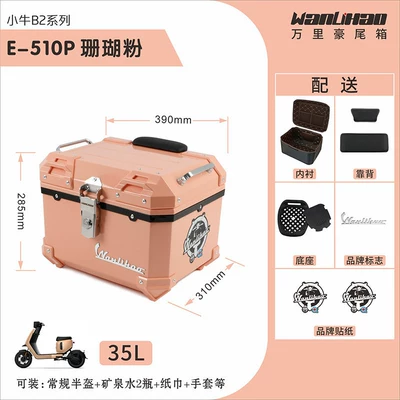 Motorcycle trunk: for B2 Maverick B200 electric - b2-little-cow-coral-pink-510p-lining-double-black-backrest