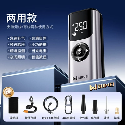 Hava nasosu Tire Pressure Measurement Portable Air - buwei-qs002-air-pump-silver-universal-model