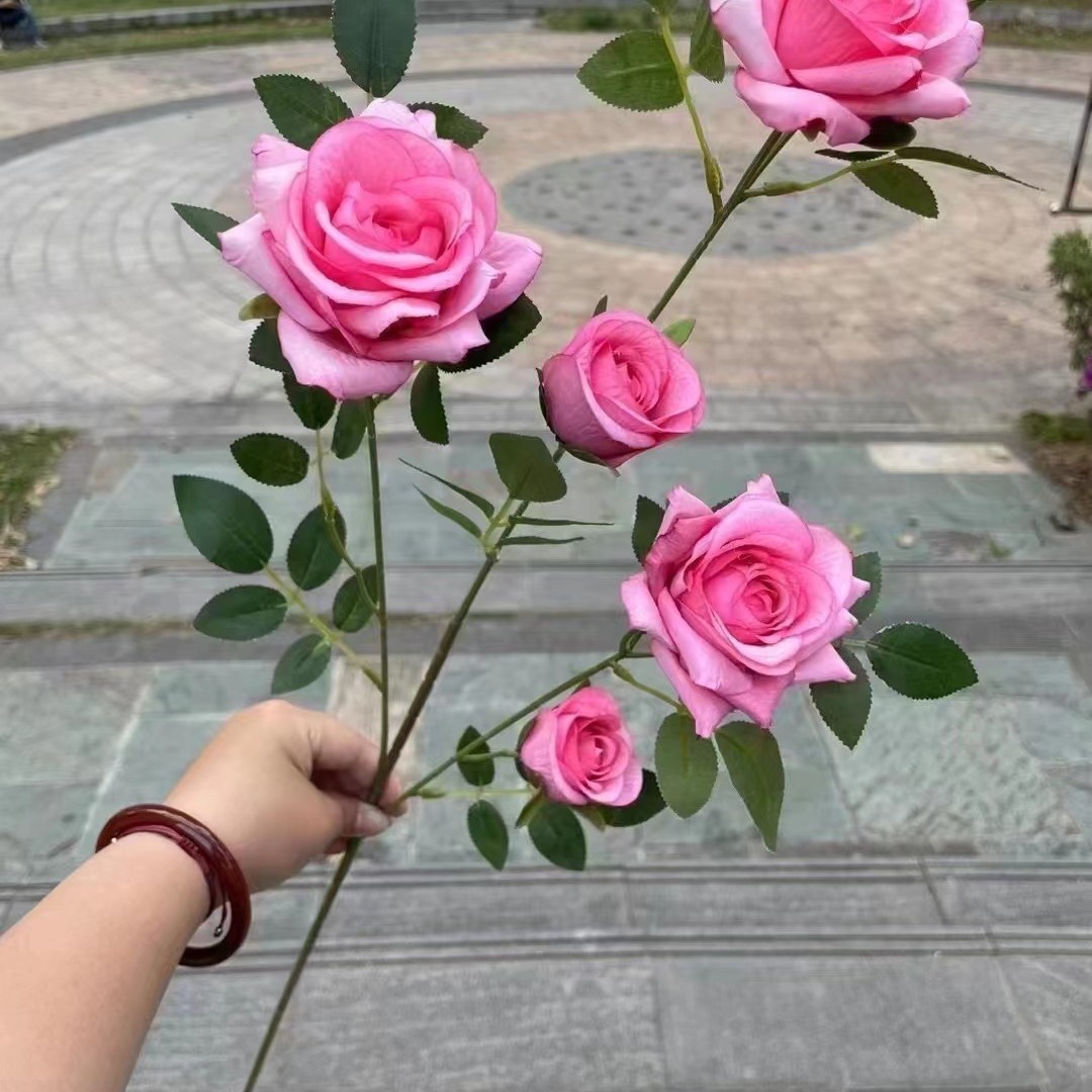 Corolla de 6 cabezas Rojo Rosa