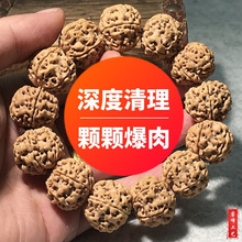 �Ჴ�������������������������������ִ��t�SƤ��ʿ������l