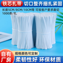PVC/PE耐用塑胶铁芯扎带包胶扎带包胶铁线电镀锌铁包塑扎丝白色椭