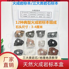 宝石工艺品;石膏工艺品;标本