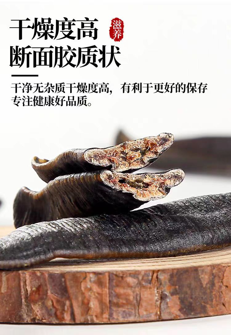 Dried Leech (Hirudo nipponica) — Wild-Caught Air-Dried Whole Leech, 500g in use
