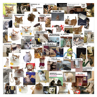 75张猫meme梗图表情包贴纸玩梗恶搞精神状态手机平板装饰创意贴画-阿里巴巴