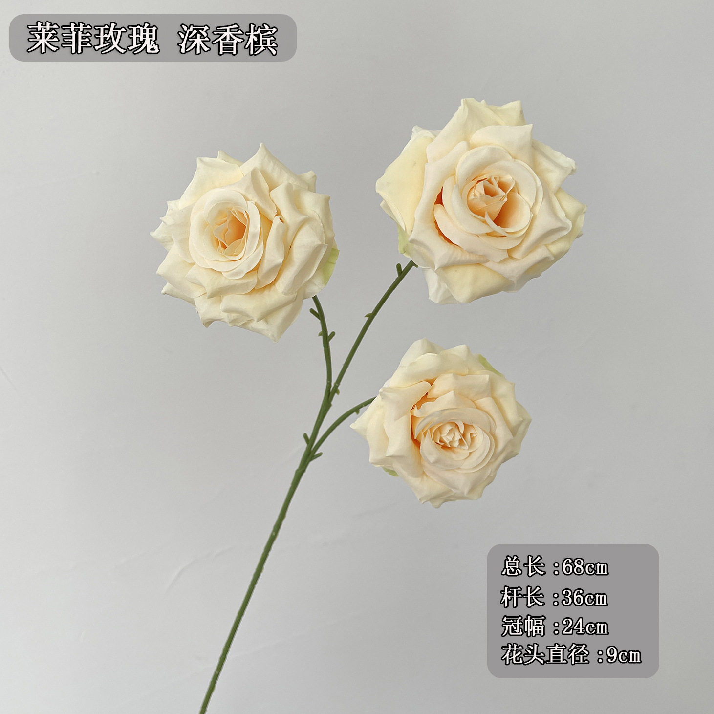 3송이 라피 로즈, 딥 샴페인 색상