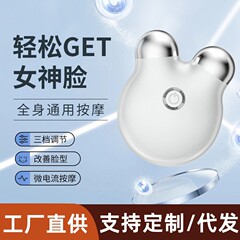 マイクロカレント美容器、家庭用フェイシャル引き締め＆リフティングマッサージ器、パルスマッサージ器、小型充電式マッサージ器、理学療法器