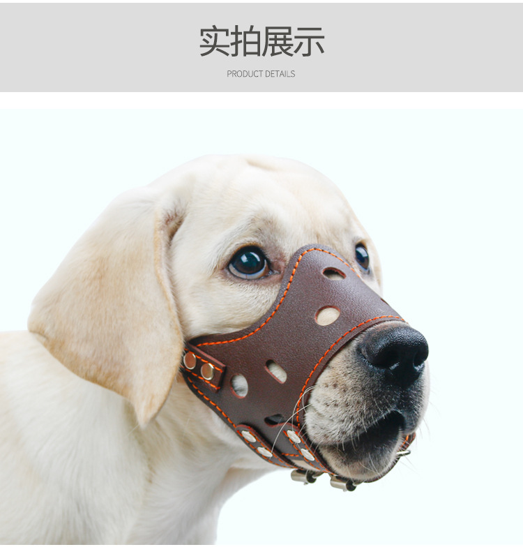 狗嘴套_11.jpg