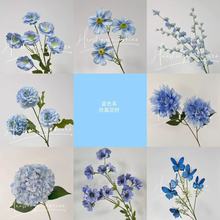 �{ɫϵ���滨��c�û���Y���滨�߼����̈��쾰���û�ˇ�ٻ����Q