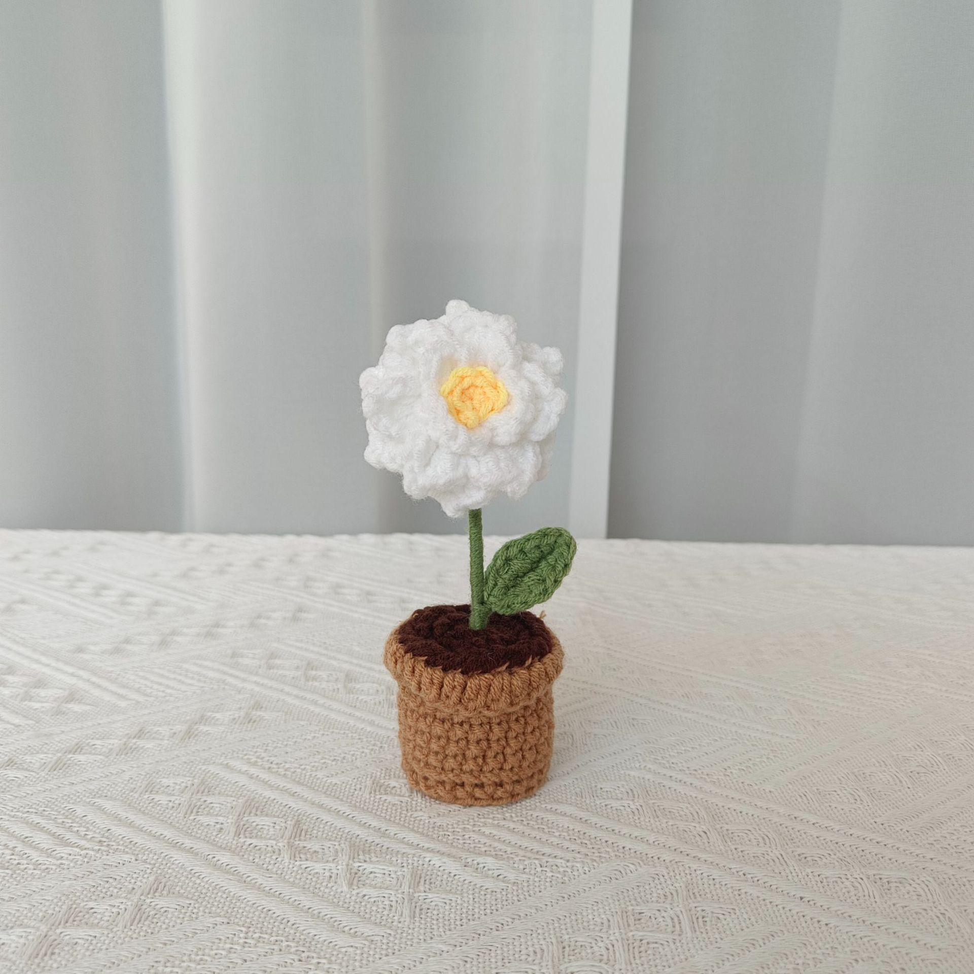 치자 화분