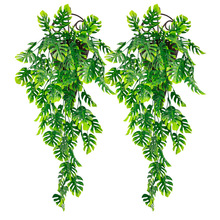 ����ֲ�������~�ڒ��ٗl����Gֲ���m�����Ҿ��b�����G�~���b�