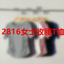 前800名 2816女士收腰T恤