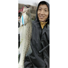 Iron plate road bait IMA iron plate horse brand iron plate double hook long range falling type shore casting freshwater sequined bass