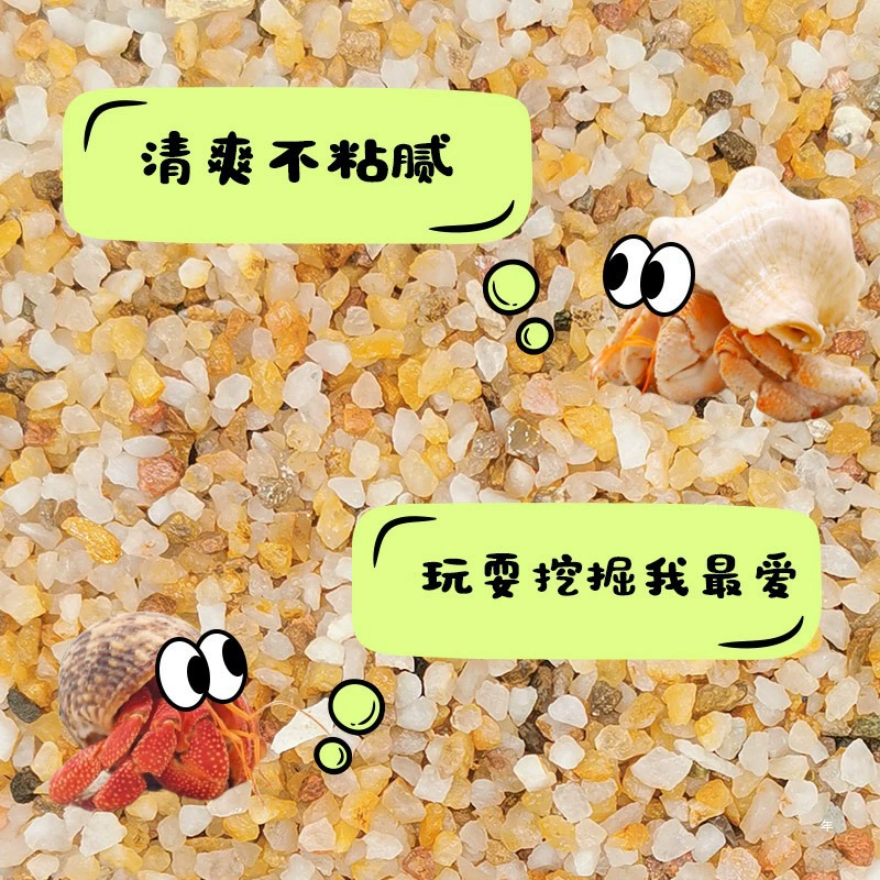 海沙寄居蟹沙水草螃蟹底沙石天然垫材原生贝壳沙免洗鱼缸造景沙子