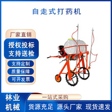 rС׻ַ߲șCrСʽșC