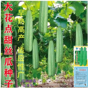 ���c��z�ϷN�ӟo�w�S�����ļ��̨�����߲˷N�ݽz�ϲ˷N��